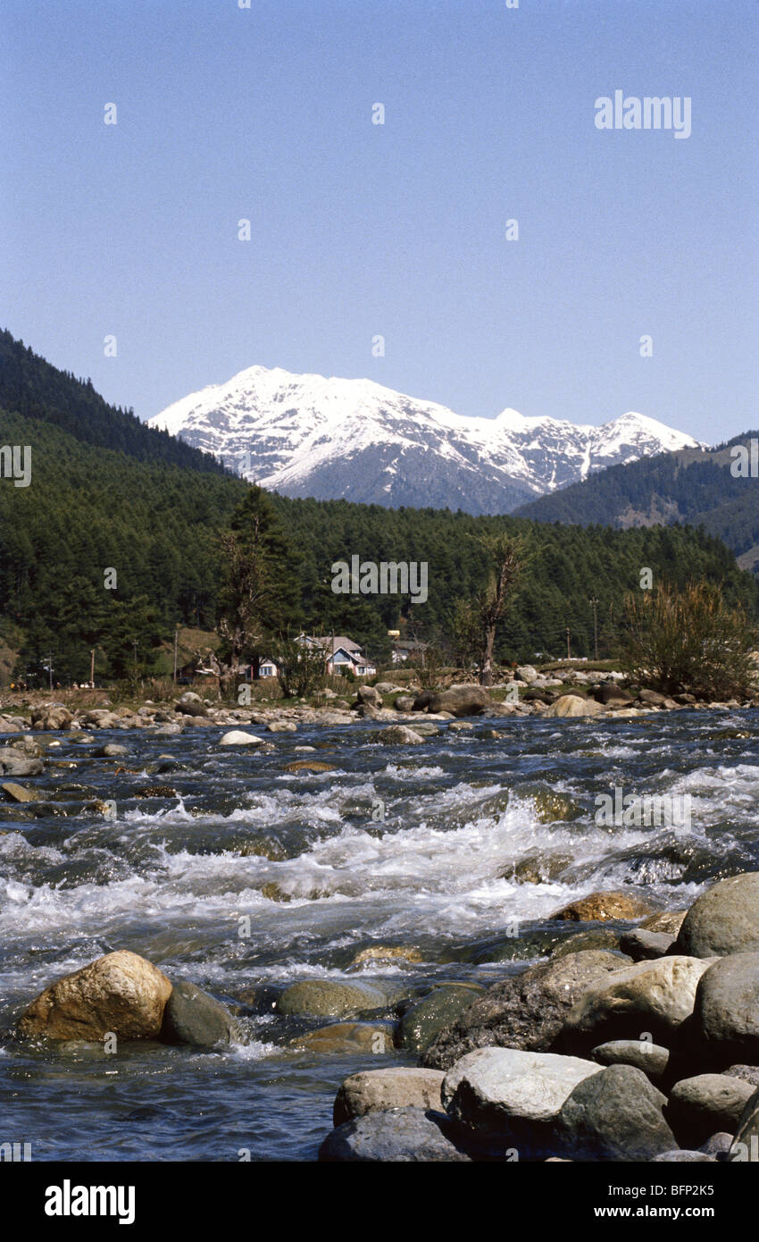 Lidder river ; Liddar river ; Jhelum river ; Pahalgam ; Anantnag ; Jammu and Kashmir ; India ; Asia Stock Photo