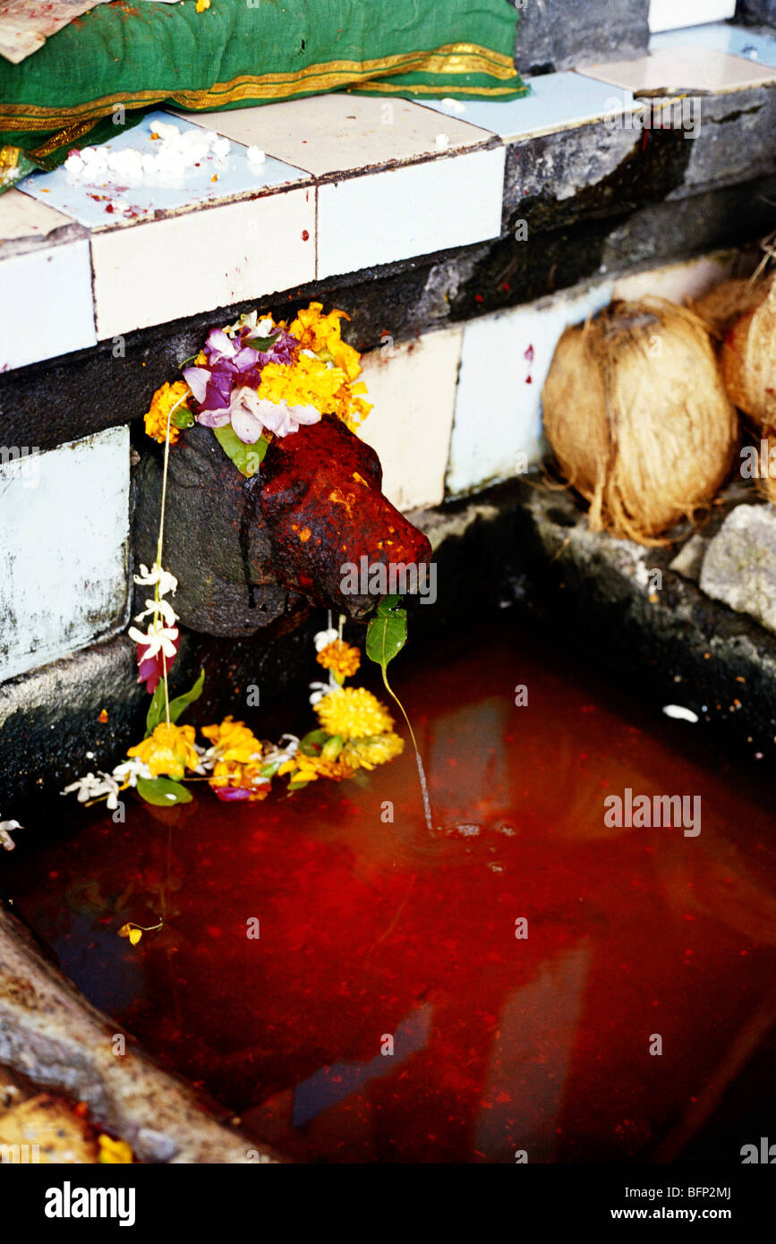 HPA 63220 Starting point of river Godavari ; Trimbakeshwar ; Nashik