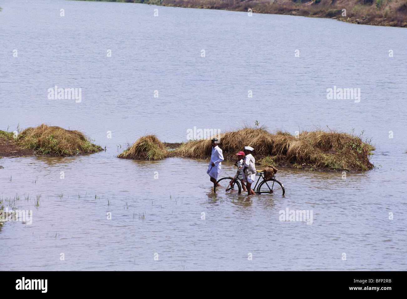 Villager with bicycle crossing river Indrayani ; Talegaon ; Talegaon Dabhade ; Mawal Taluka ; Pune ; Maharashtra ; India ; asia Stock Photo