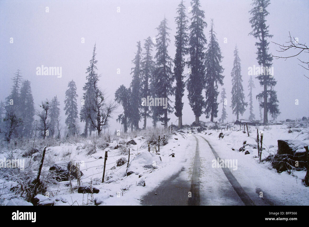 63364 hi-res stock photography and images - Alamy