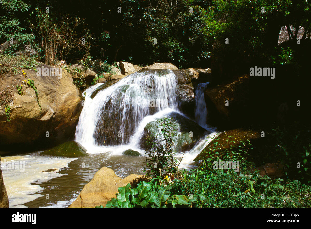 Law falls ; Dolphin's Nose ; Coonoor ; Nilgiri ; Tamil Nadu ; India ...