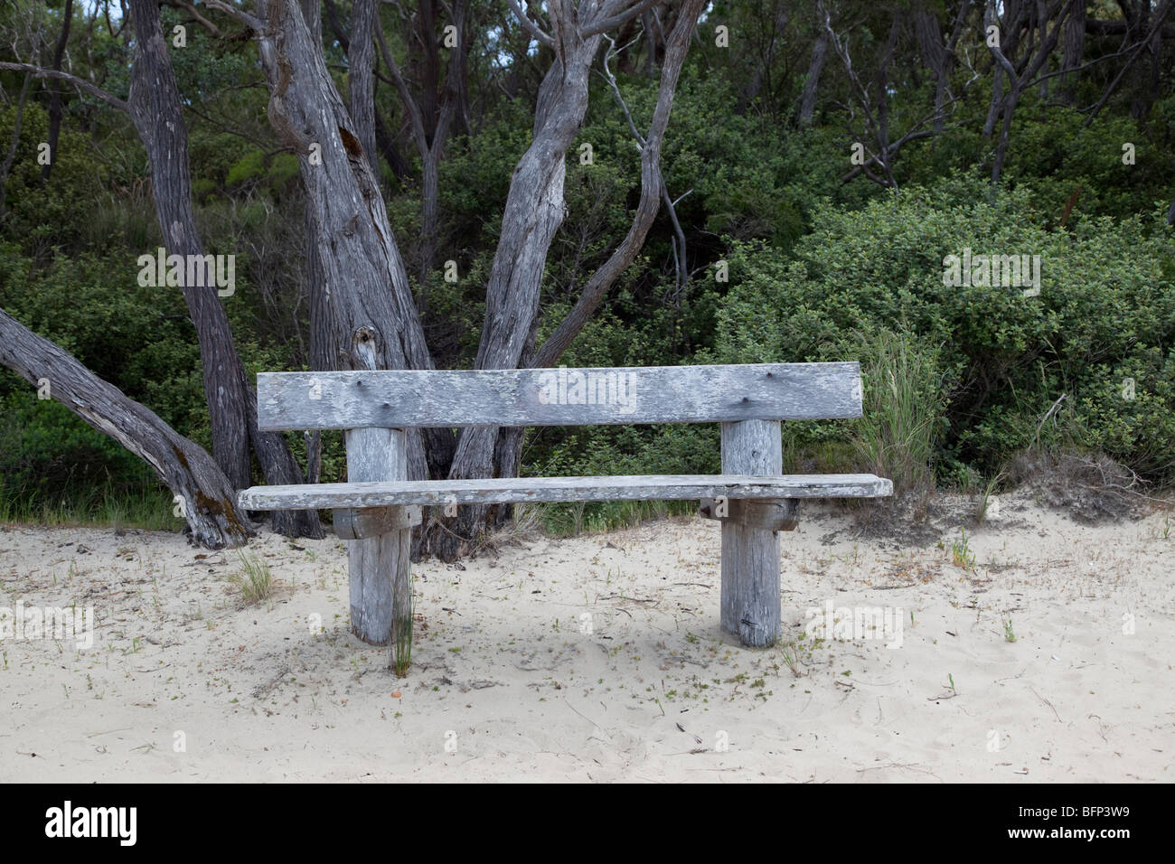 Wooden seat, Walpole, Western Australia Stock Photo Alamy