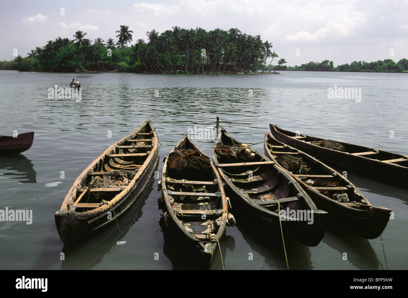 Canoes in backwaters of Kerala ; Kozhikode ; Calicut ; Kerala ; India