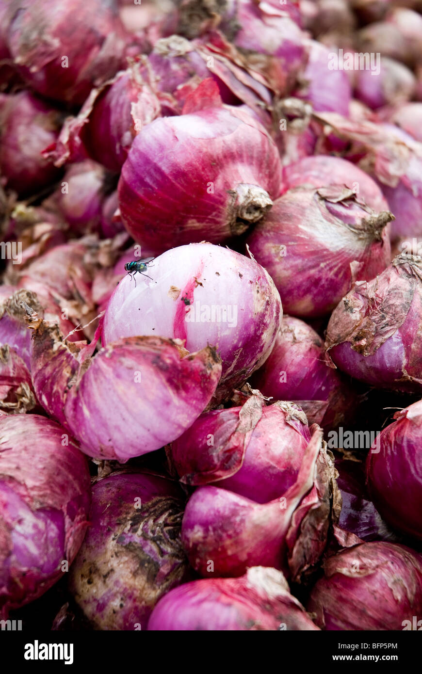 A stack of Red Onions for sale in a market Stock Photo Alamy
