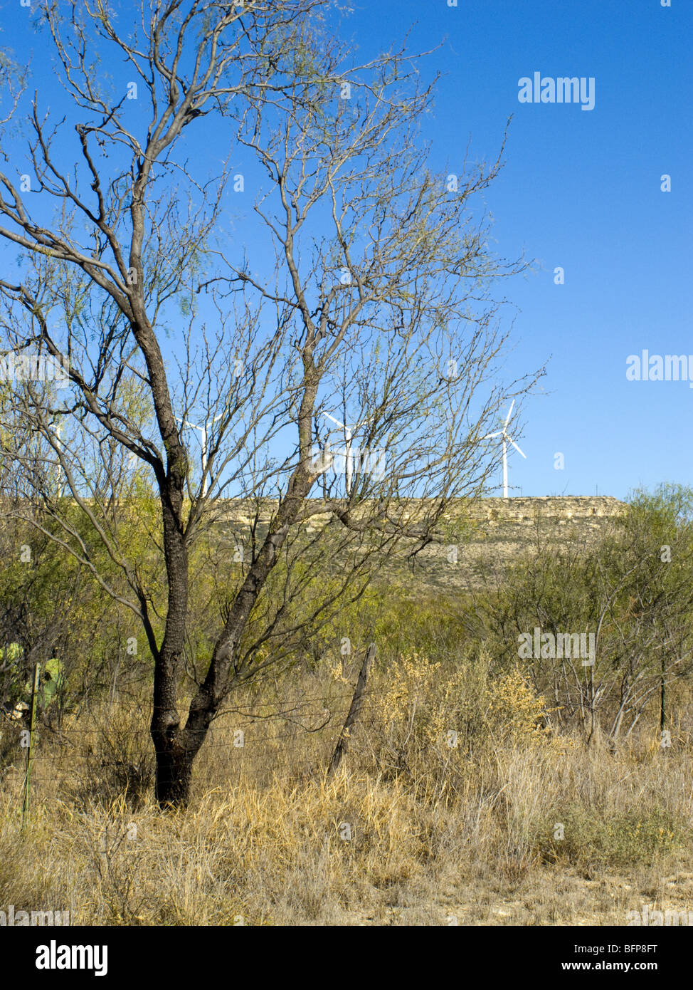 Capital of texas hires stock photography and images Alamy