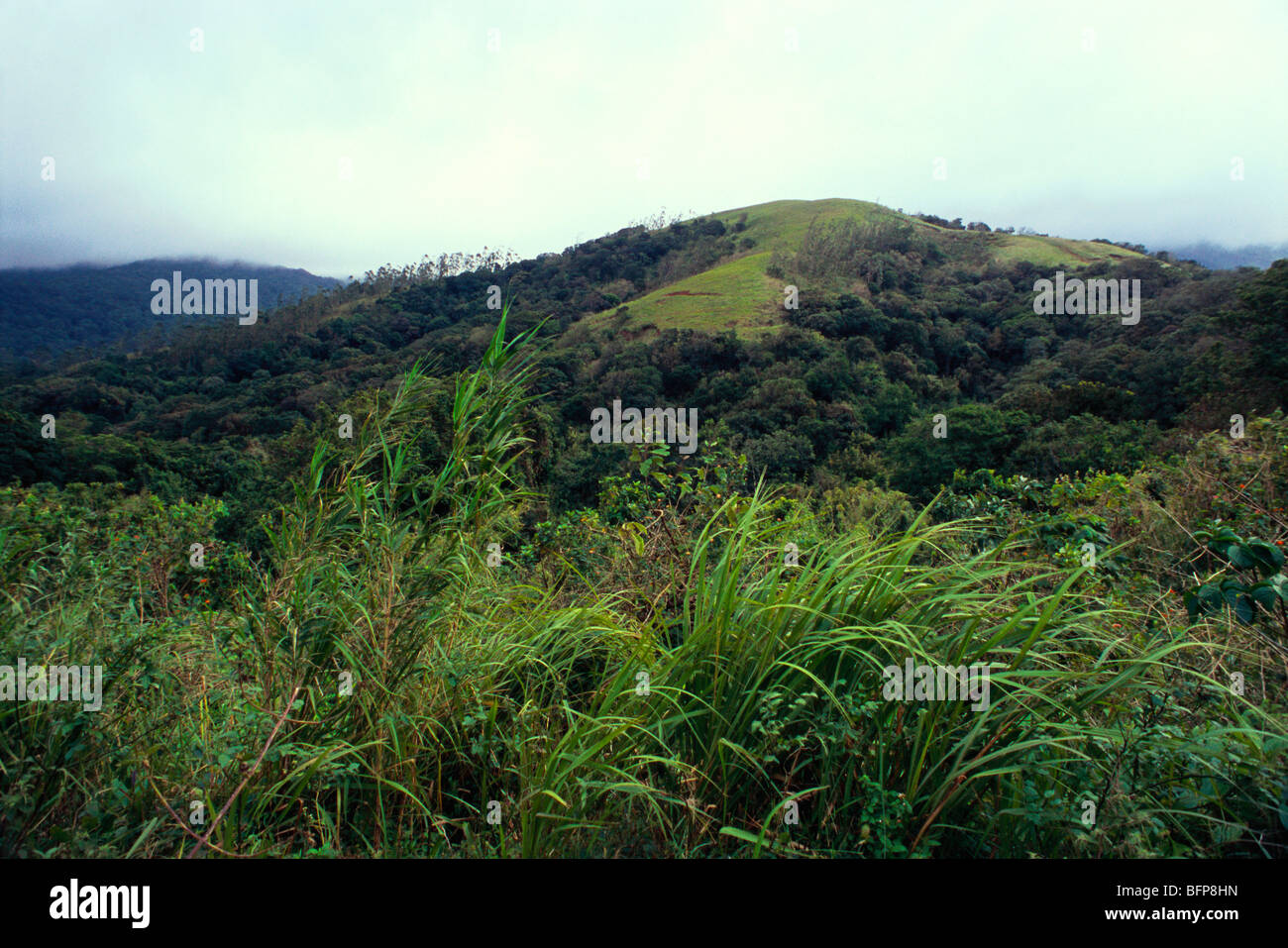 Siruvani Hills ; Western Ghats ; Palakkad ; Kerala ; India ; asia Stock Photo