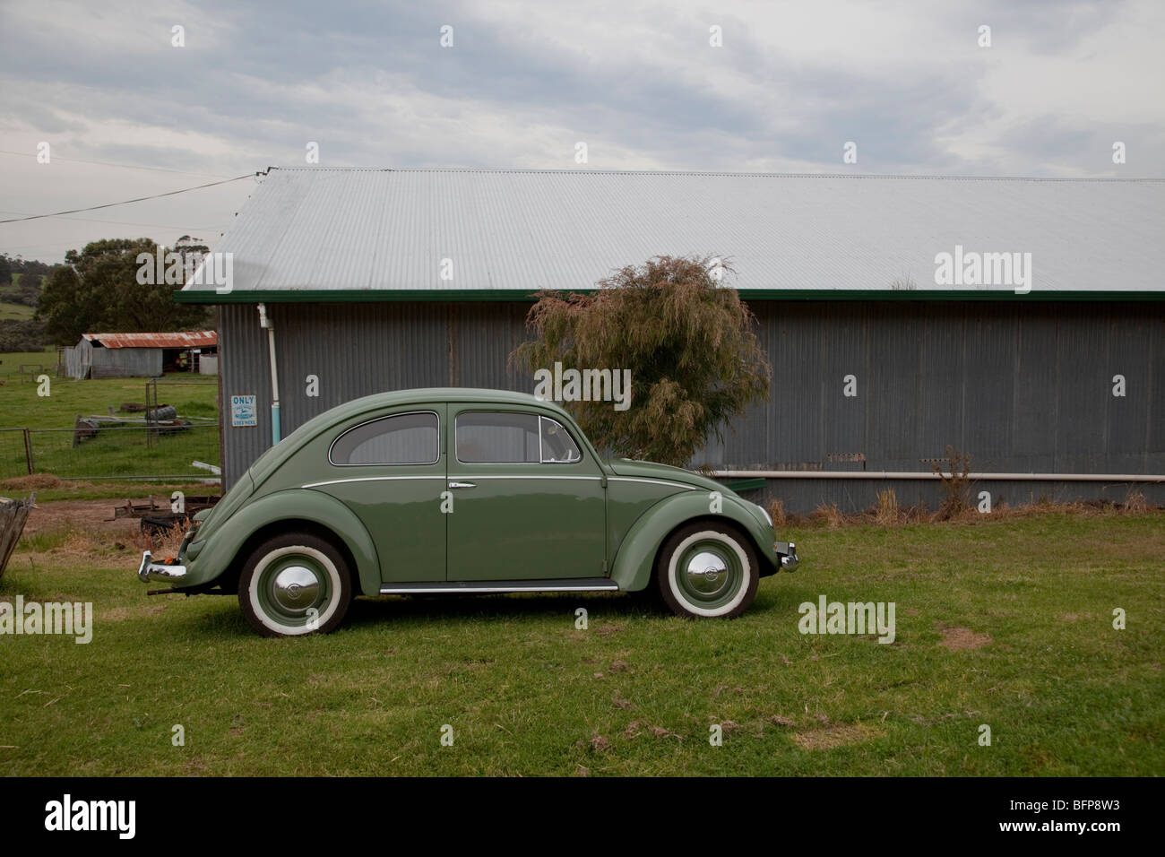 1954 Volkswagen Beetle, Western Australia Stock Photo