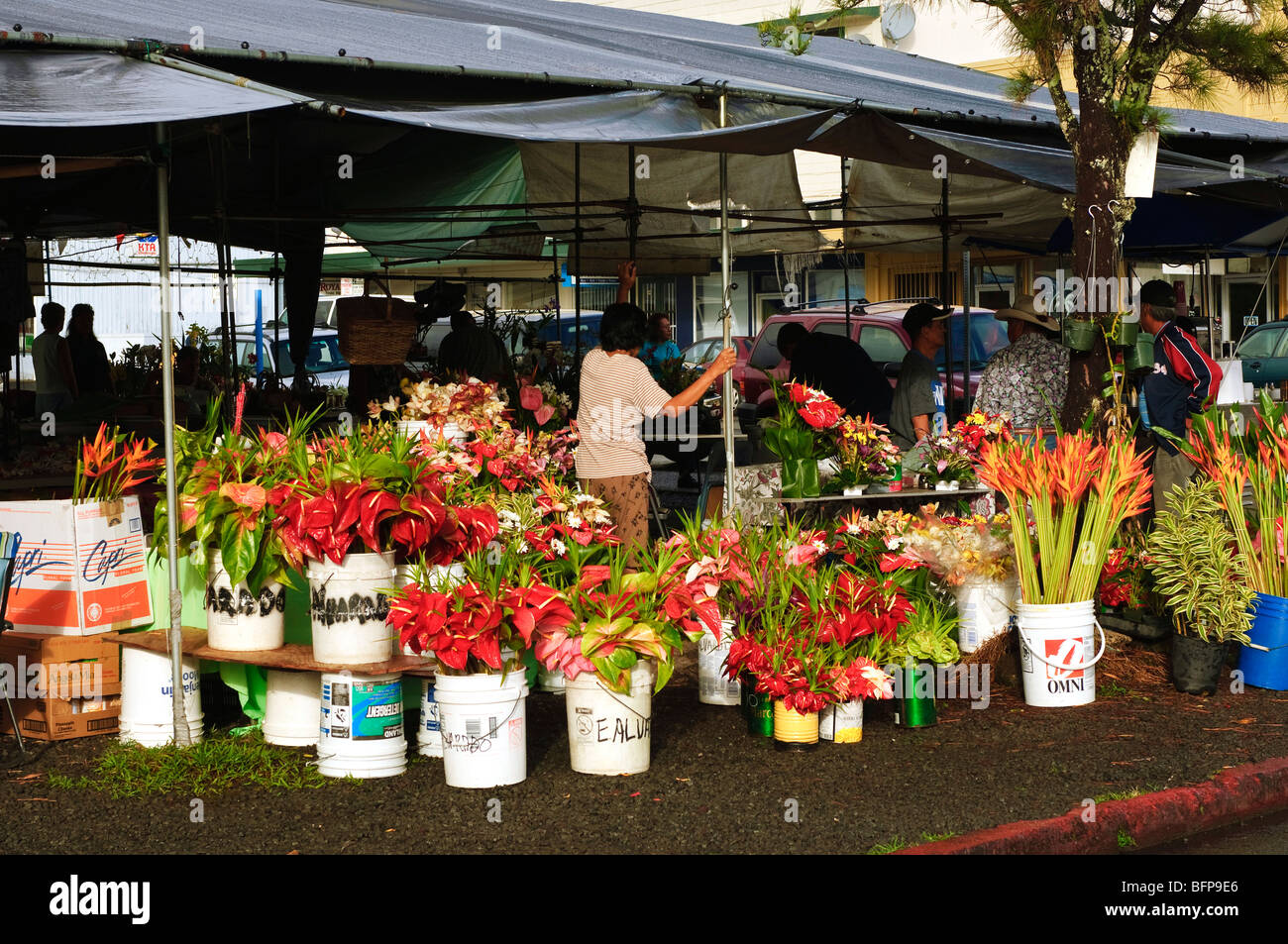 Hilo farmers market, Big Island Hawaii. Stock Photo