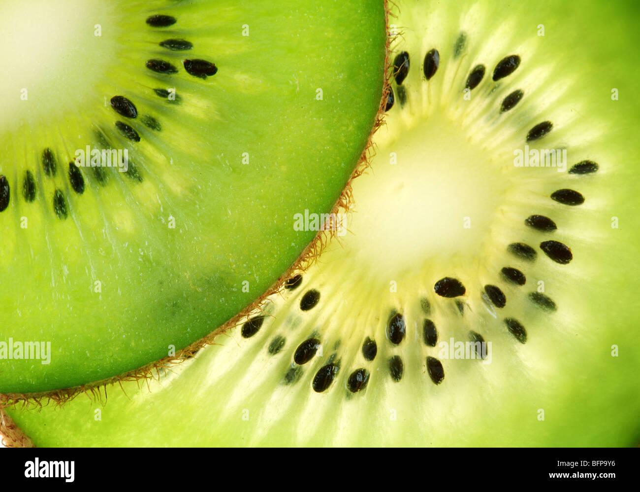 Back projected (lighted) cross sections of kiwi Stock Photo
