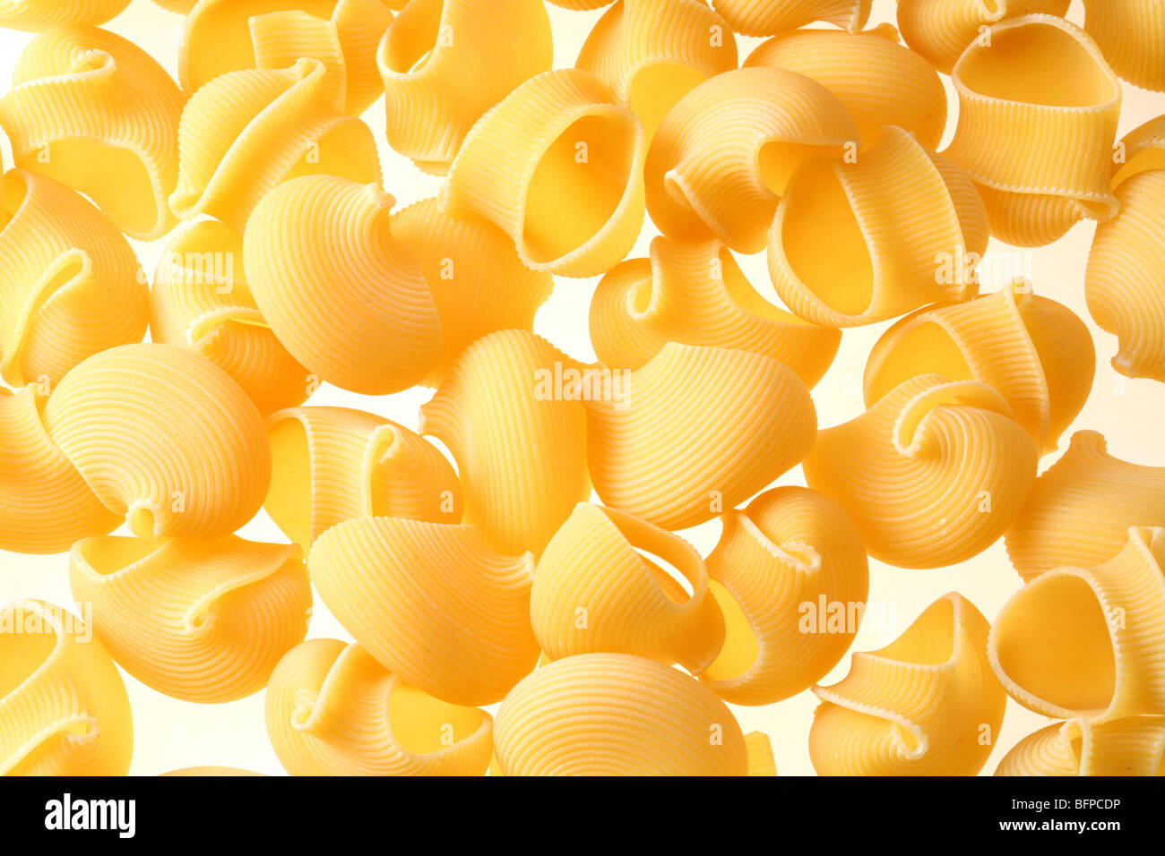 Back projected (lighted) macaroni (pasta) Stock Photo