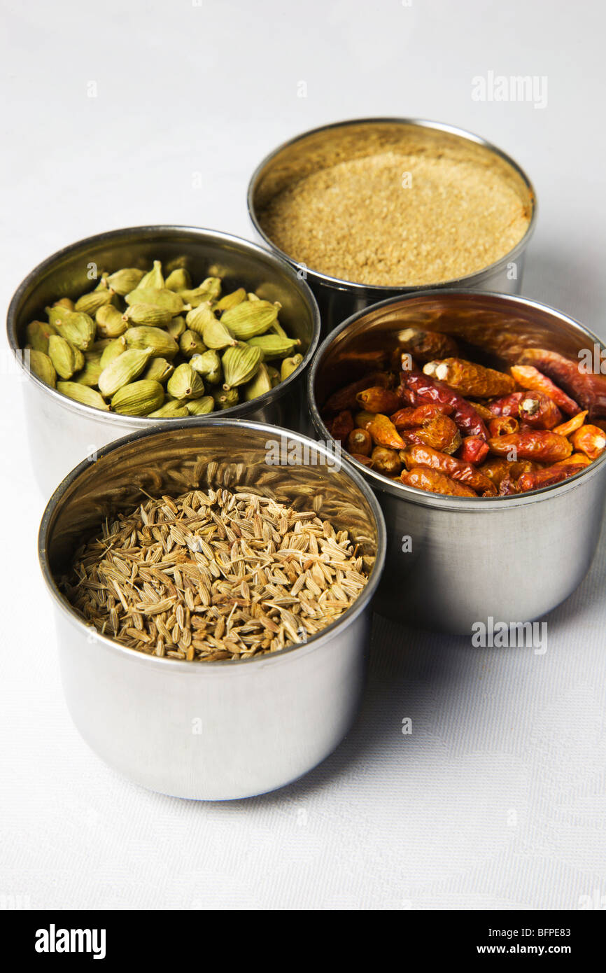 Cumin Seeds Cardamom Pods Birds Eye Chillis and Ground Coriander in stainless steel spice pots Stock Photo