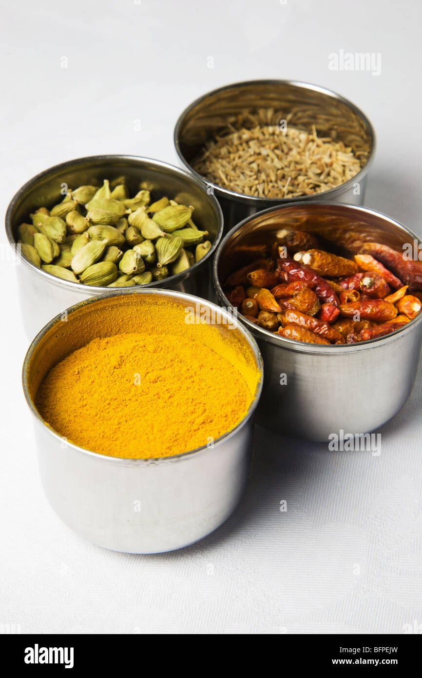 Cumin Seeds Cardamom Pods Birds Eye Chillis and Turmeric in stainless