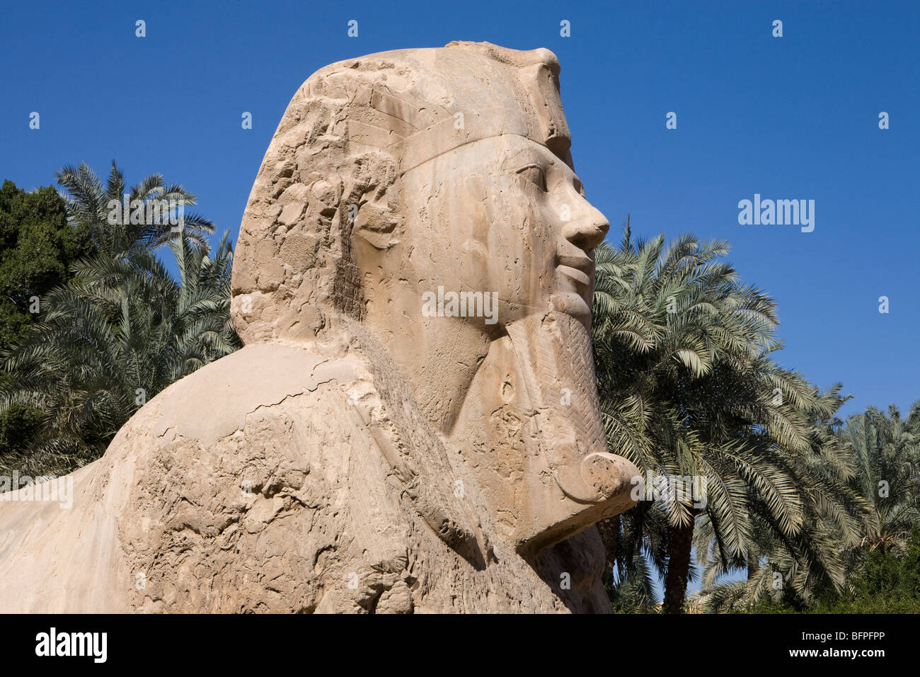 Giant alabaster sphinx within the museum garden at the remains of ...