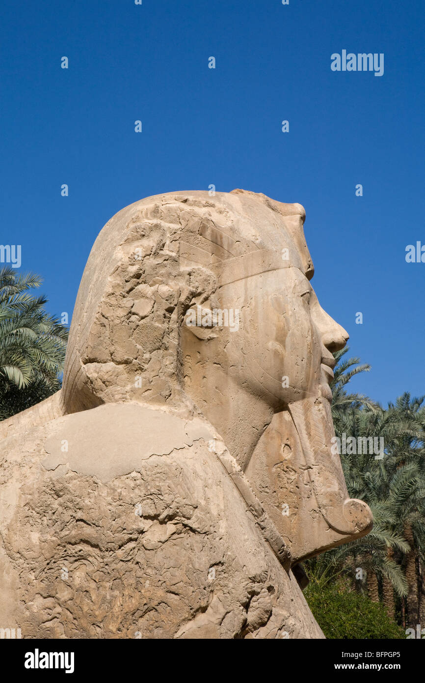 Giant alabaster sphinx within the museum garden at the remains of ...