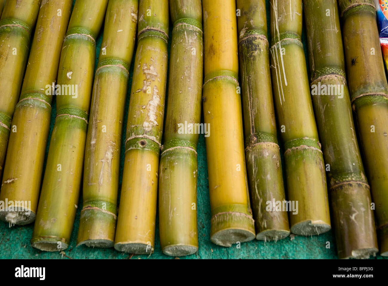 Cut sugarcane stalks laid out for sale in a Ethiopian market Stock