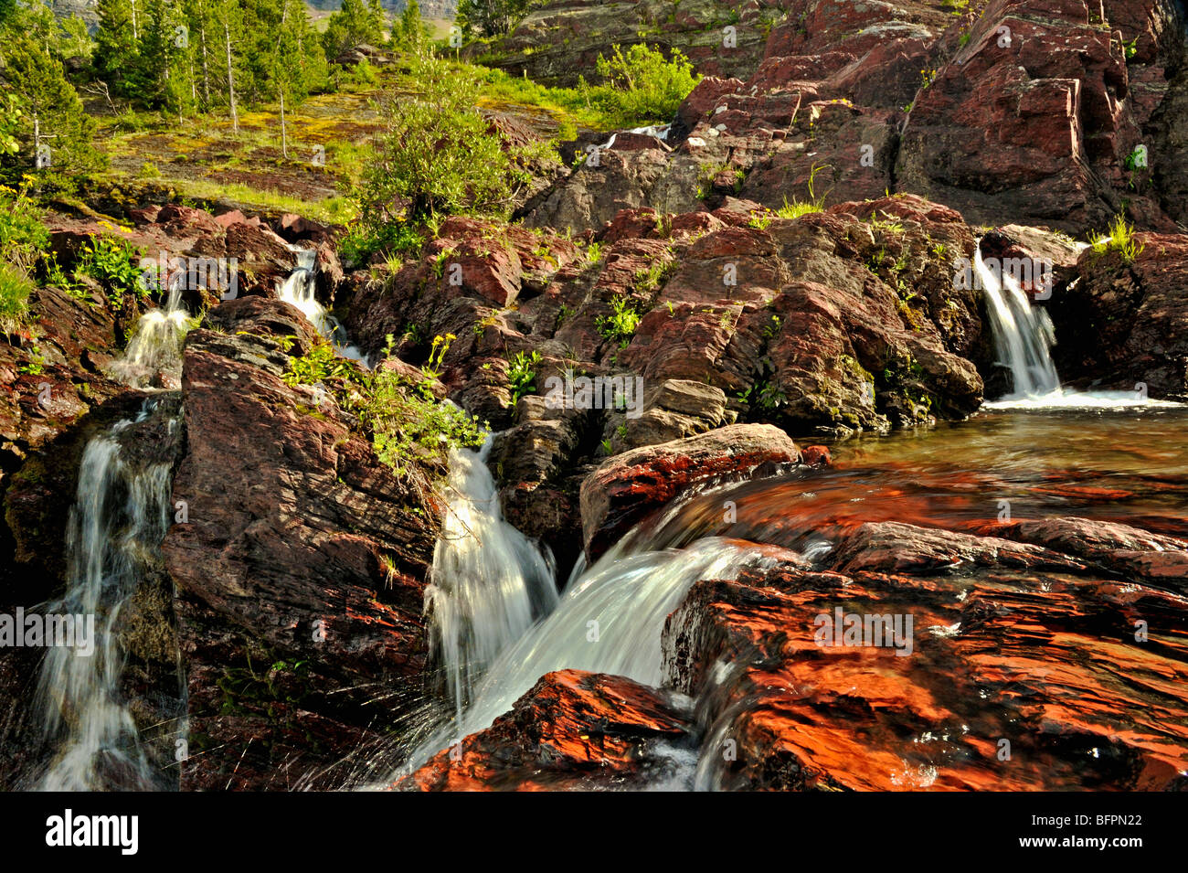 Rapids in a stream in glacier national park in Montana USA Stock Photo ...