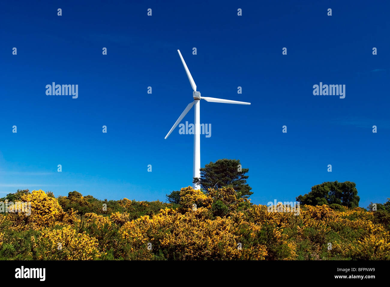 Windmill at The Park, near Findhorn Foundation village, Moray, Scotland, UK Stock Photo