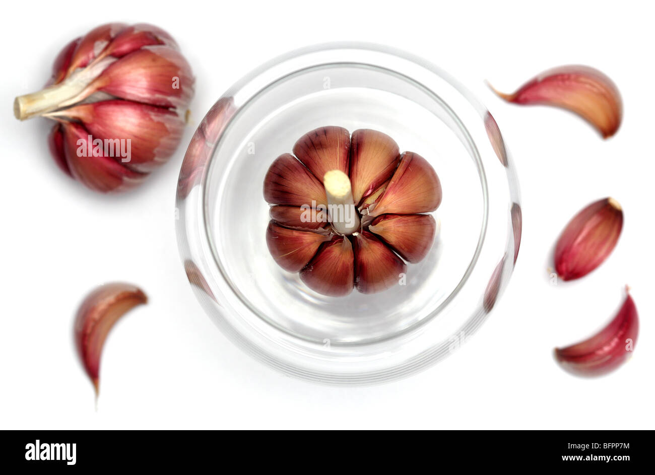 garlic cloves veggie spicy spices nourish nourished nourishing nourishment studio nutriment nutrition nutritious recommended veg Stock Photo