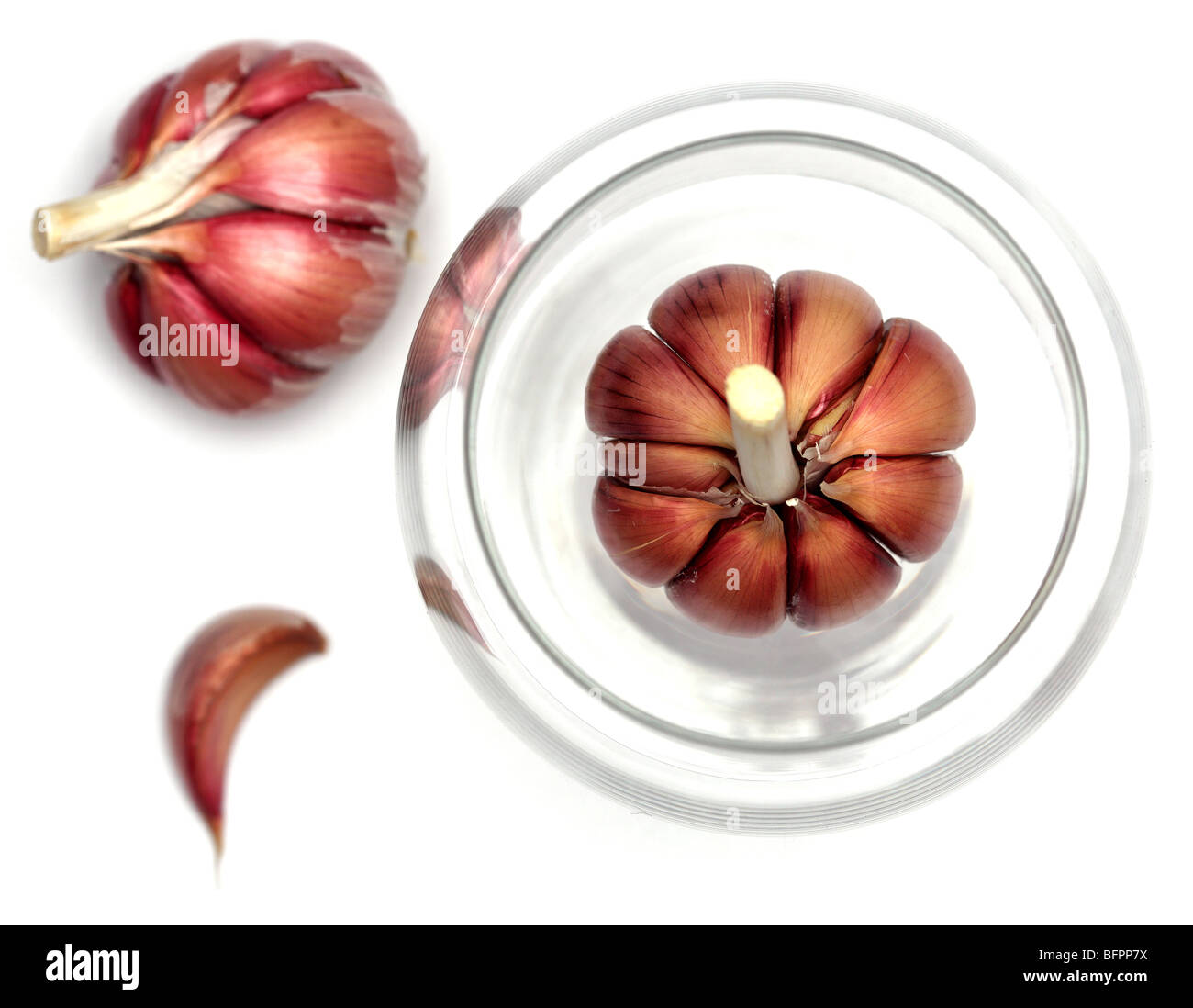 garlic cloves veggie spicy spices nourish nourished nourishing nourishment studio nutriment