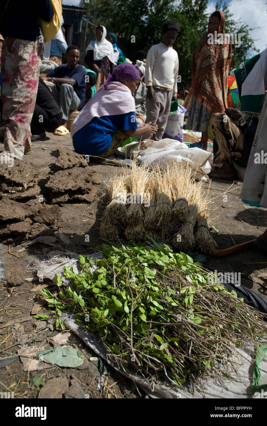 Khat for sale in a market in an Ethiopian market. Stock Photo
