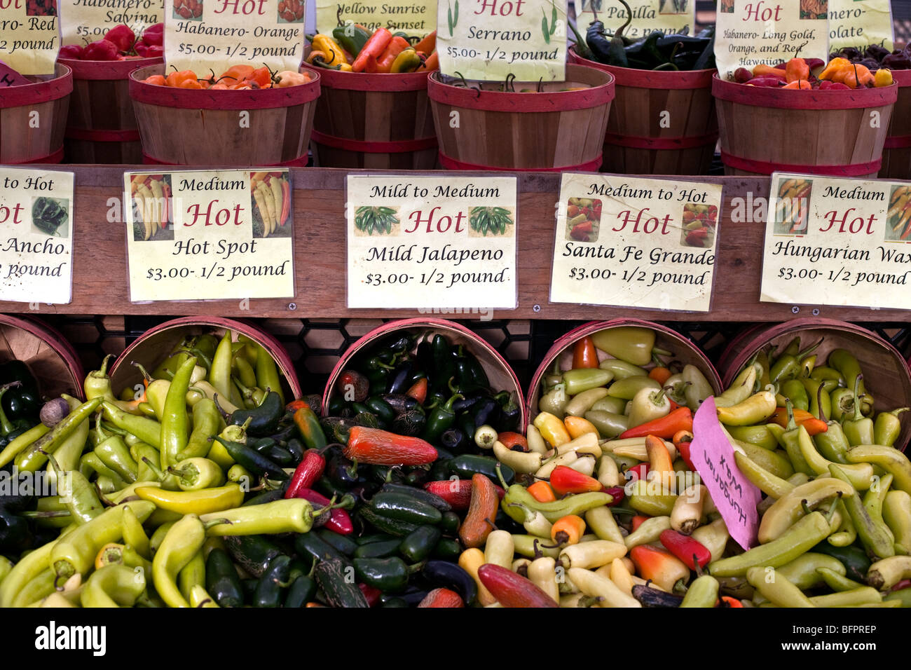 display of amazing variety of beautifully colored peppers graphically described for degree of heat at Union Square green market Stock Photo