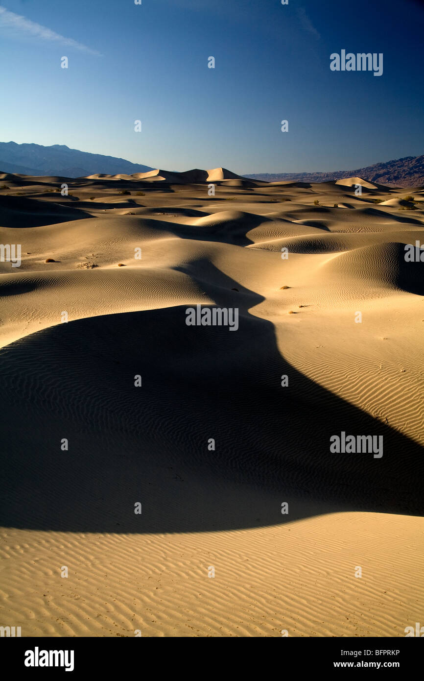 The Death Valley Mesquite Dunes at Stovepipe Wells at sunrise. Stock Photo