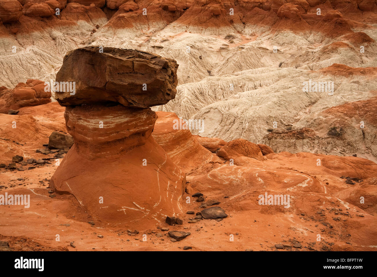 Geological formations of hoodoos in the Rimrock Hoodoo basin on public land in Utah, USA Stock Photo