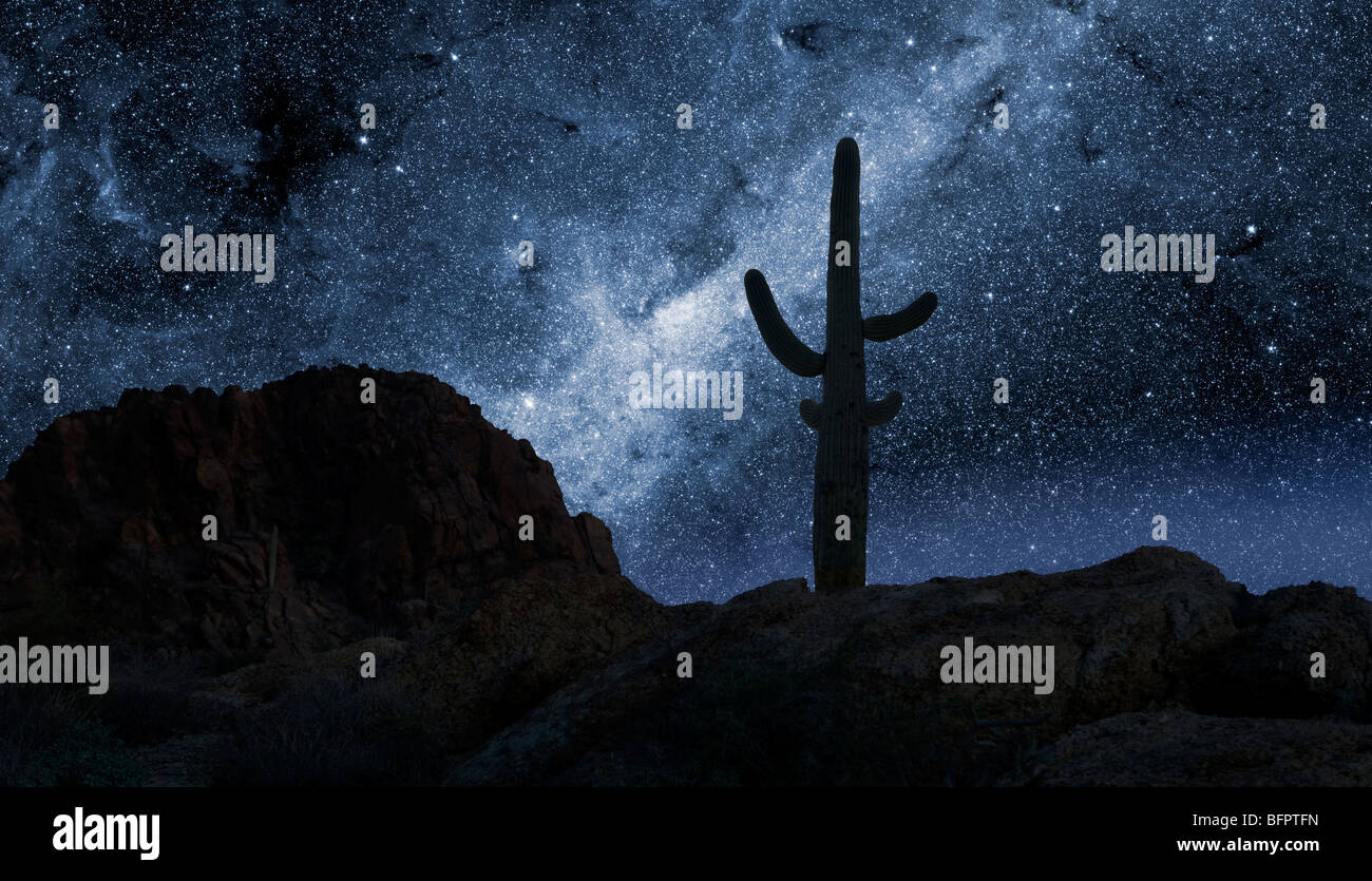 A lone saguaro on a rocky outcropping silhouetted against The Milky Way. Stock Photo