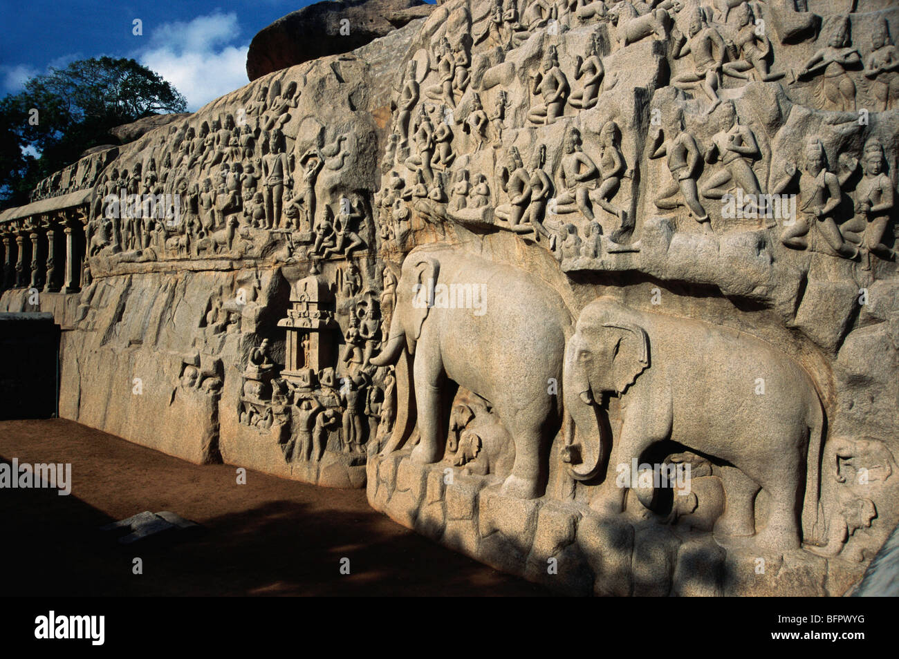 MAA 66593 : Seventh century statues in Arjuna Penance ; Mahabalipuram Mamallapuram ; Tamil Nadu ; India Stock Photo