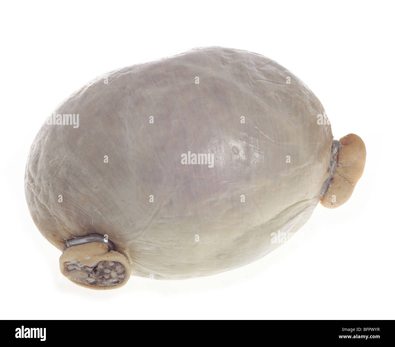 A traditional Scottish haggis, a sheep's stomach stuffed with chopped offal and barley, isolated on white. Stock Photo