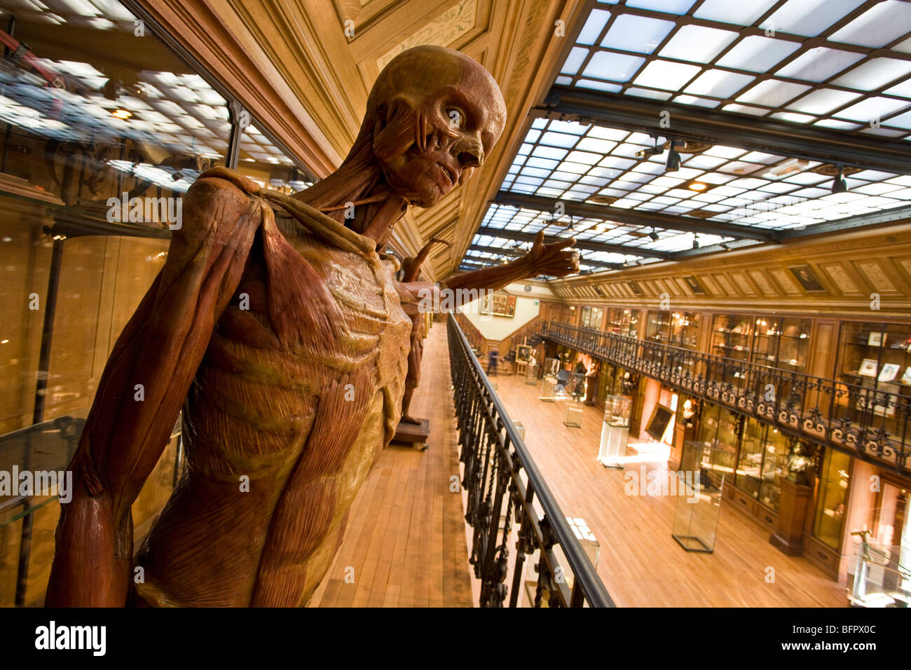 MUSEUM OF HISTORY OF MEDICINE, PARIS Stock Photo