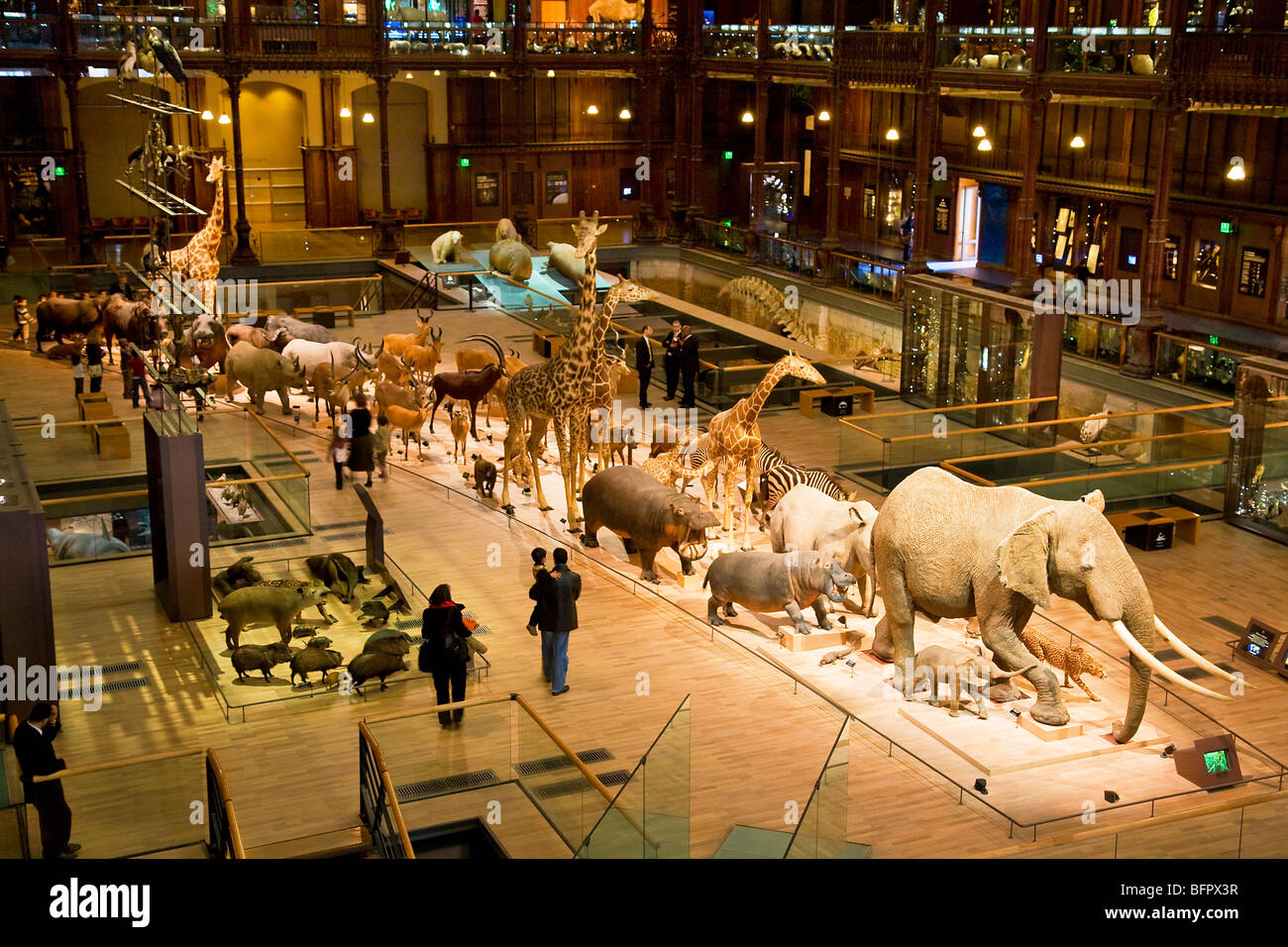 эрмитаж санкт-петербург внутри зал тициана. музеи больших городов. музеи больших городов. музеи больших городов. музеи.