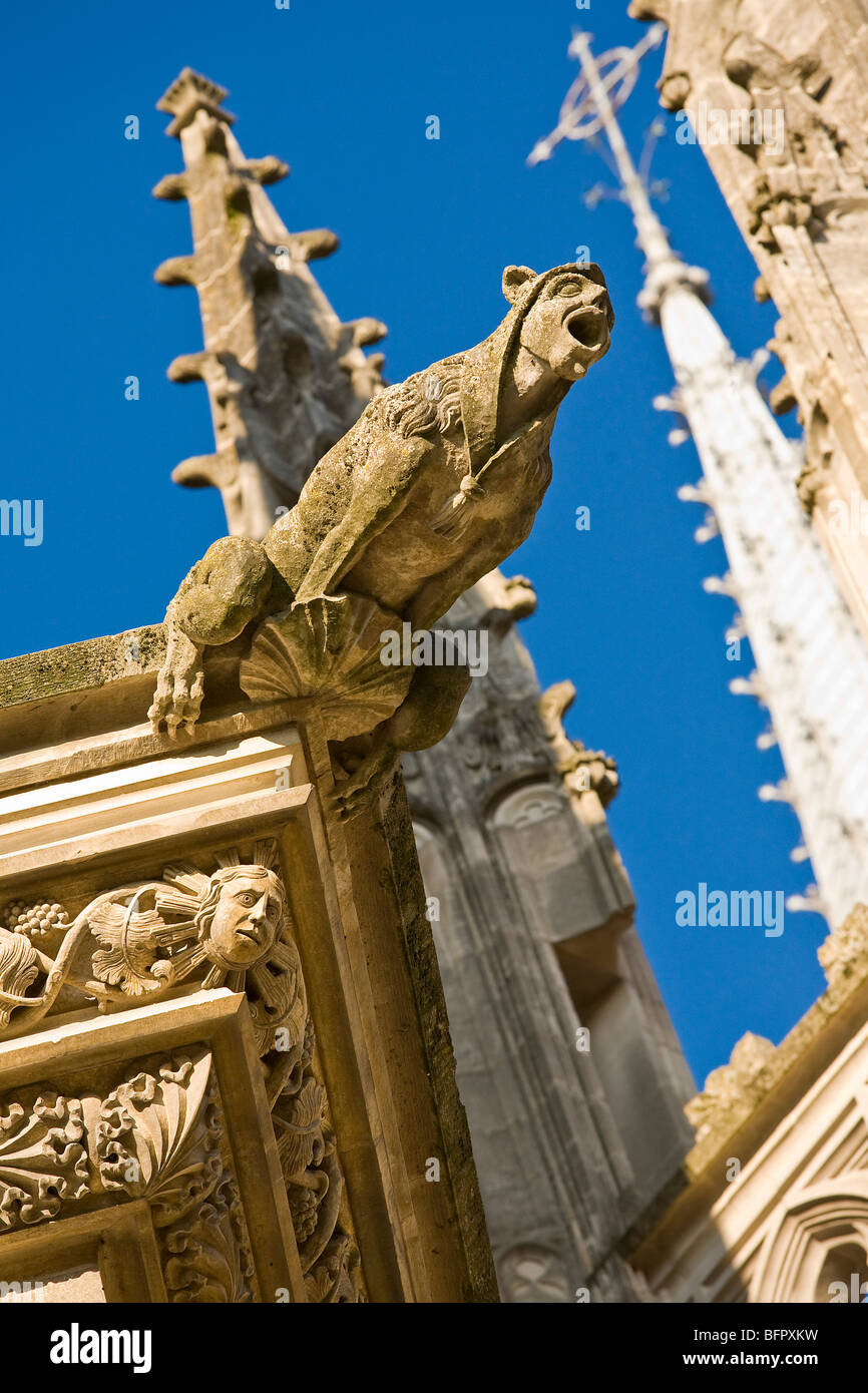 SAINTECROIX CATHEDRAL, ORLEANS, FRANCE Stock Photo Alamy