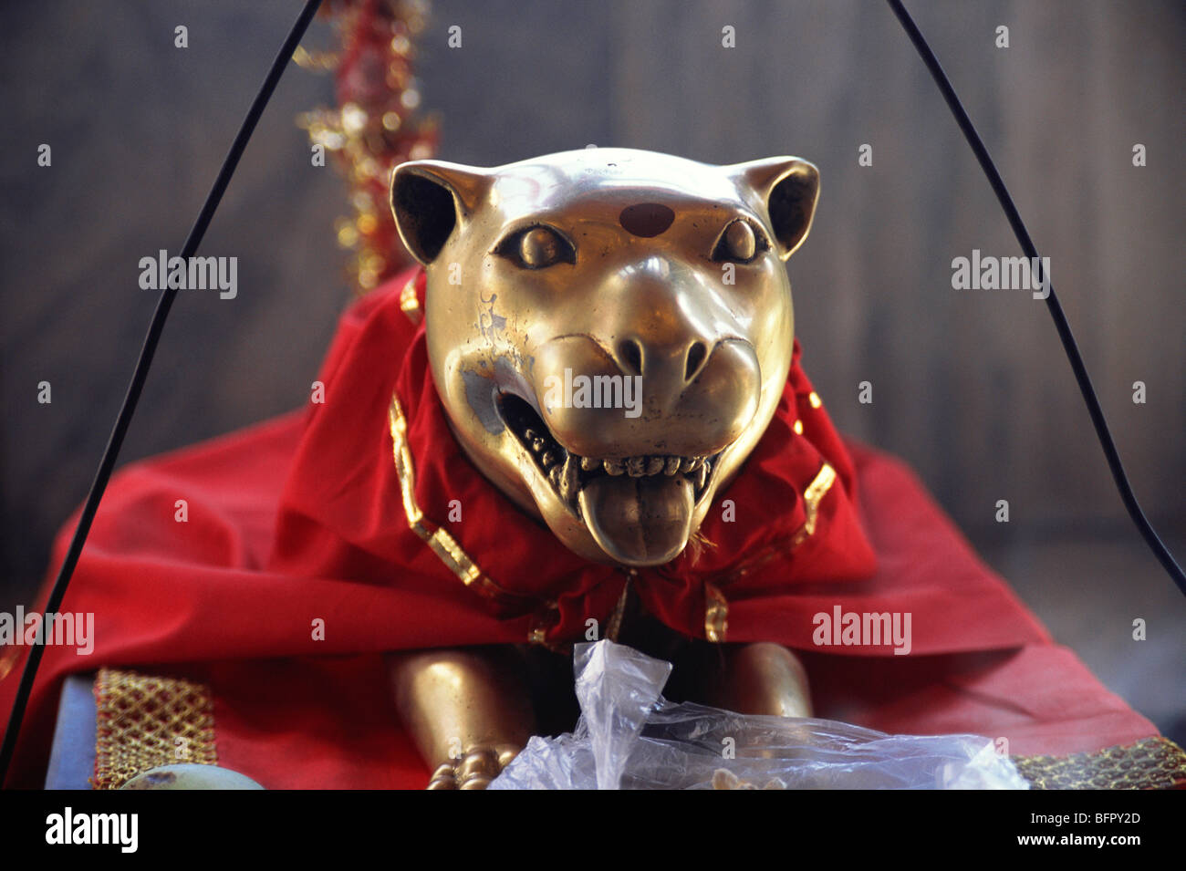 NGS 66768 : Rat statue in Bhale Mata temple ; Himachal Pradesh ; India Stock Photo