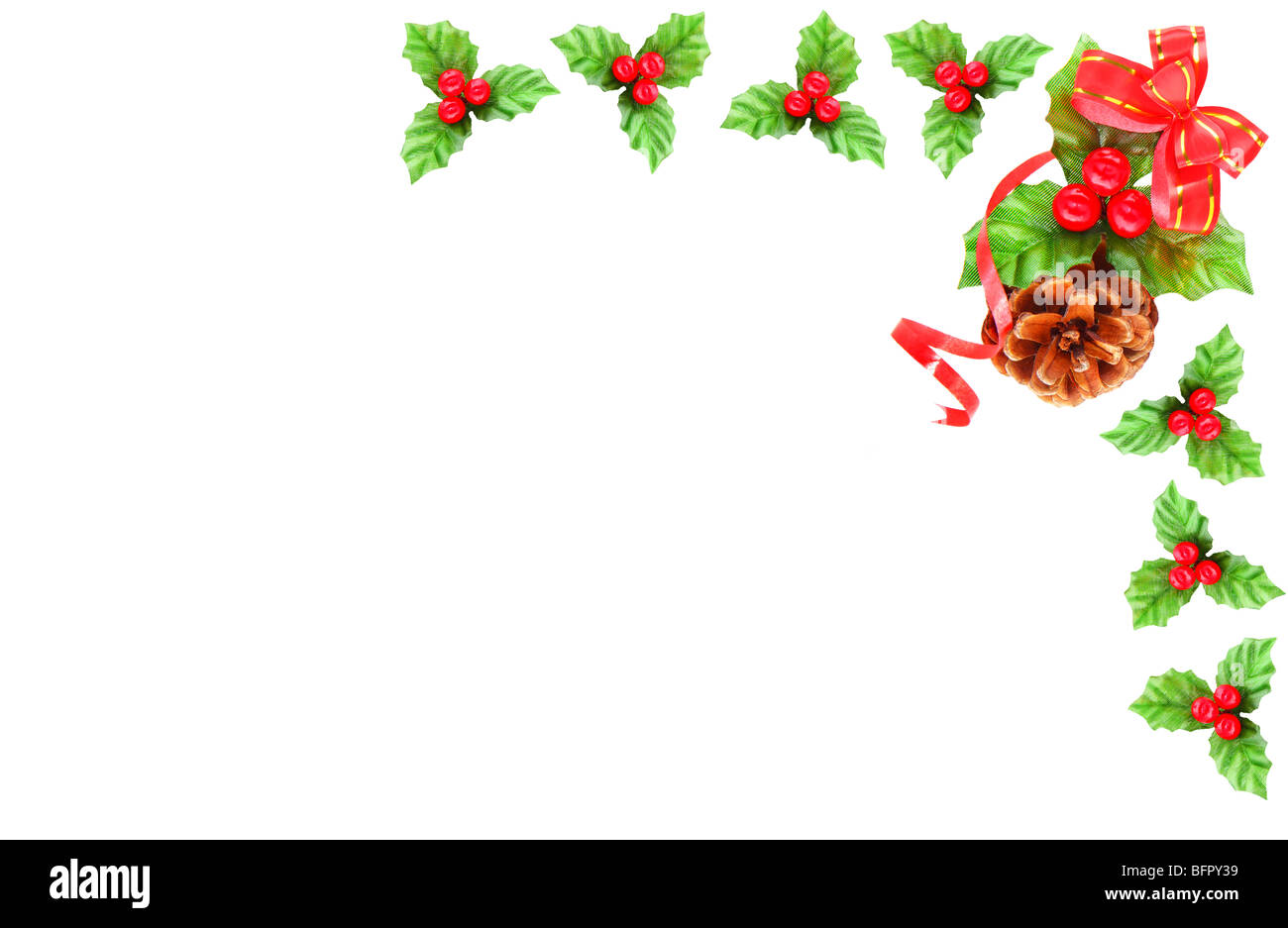 Holly berry and pine cone as Christmas border isolated on white Stock ...