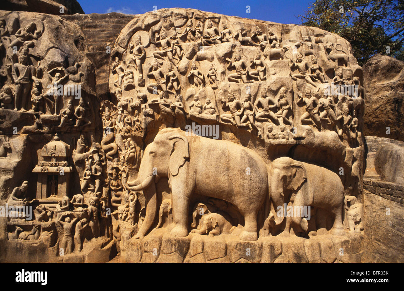 DBA 66949 : Arjuna Penance ; Mahabalipuram Mamallapuram ; Tamil Nadu ; India Stock Photo