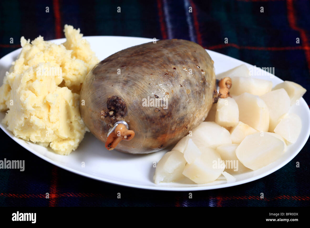 A serving dish with a whole haggis, diced turnips and mashed potatoes. Stock Photo