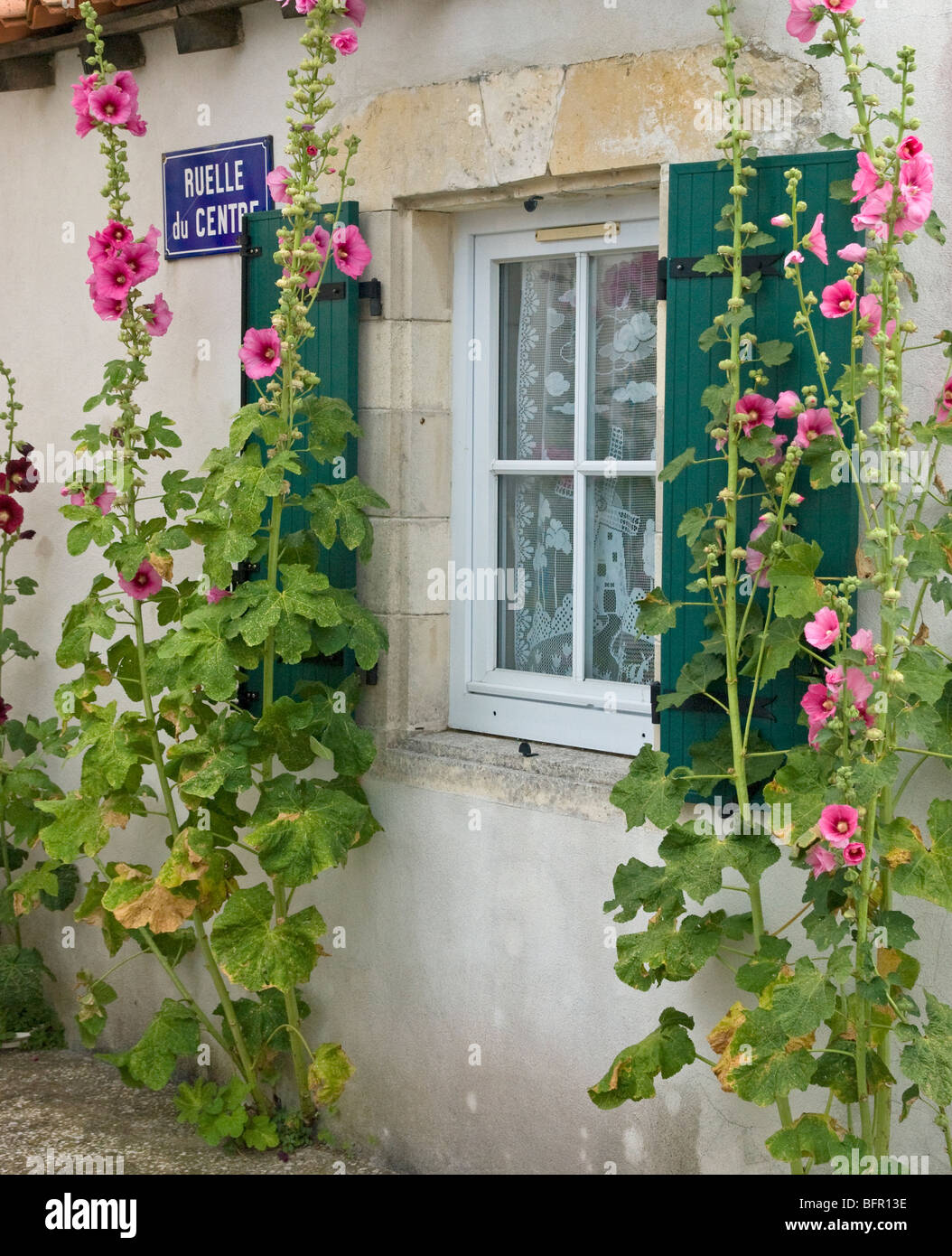 House and hollyhocks Ille de Re France Stock Photo