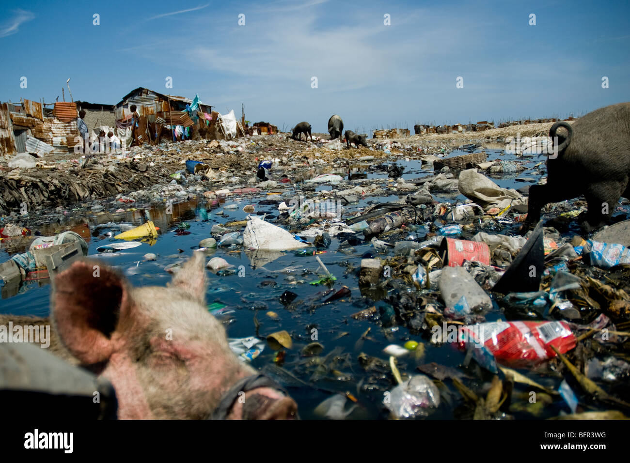 Social and living conditions in Haitian slums like Cite Soleil (Portau