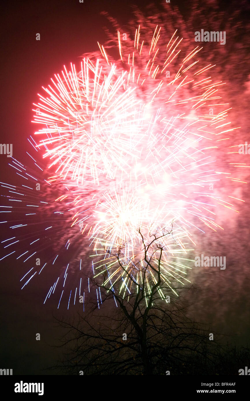 Fireworks on Clapham common Stock Photo Alamy