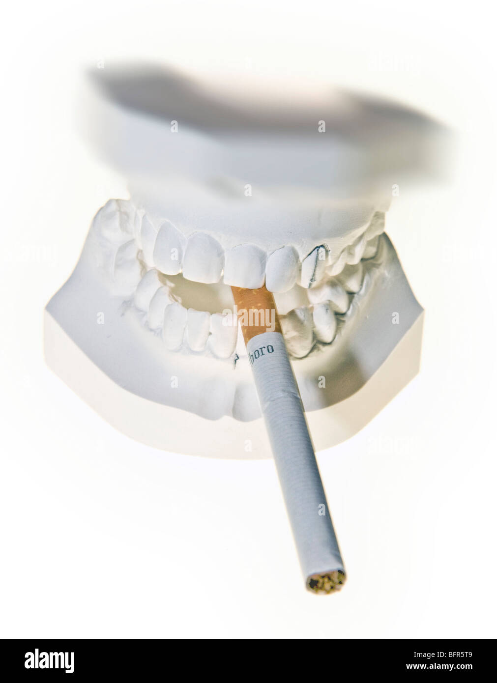 Plaster mould of teeth with cigarette Stock Photo