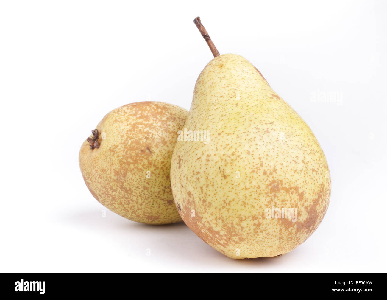 Fresh Rocha Pear isolated against white background. Stock Photo