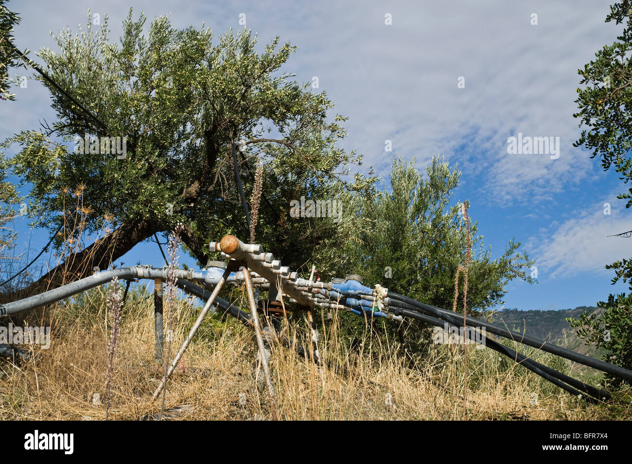 dh Mythi area FARMING GREECE CRETE Water junction pipes metering