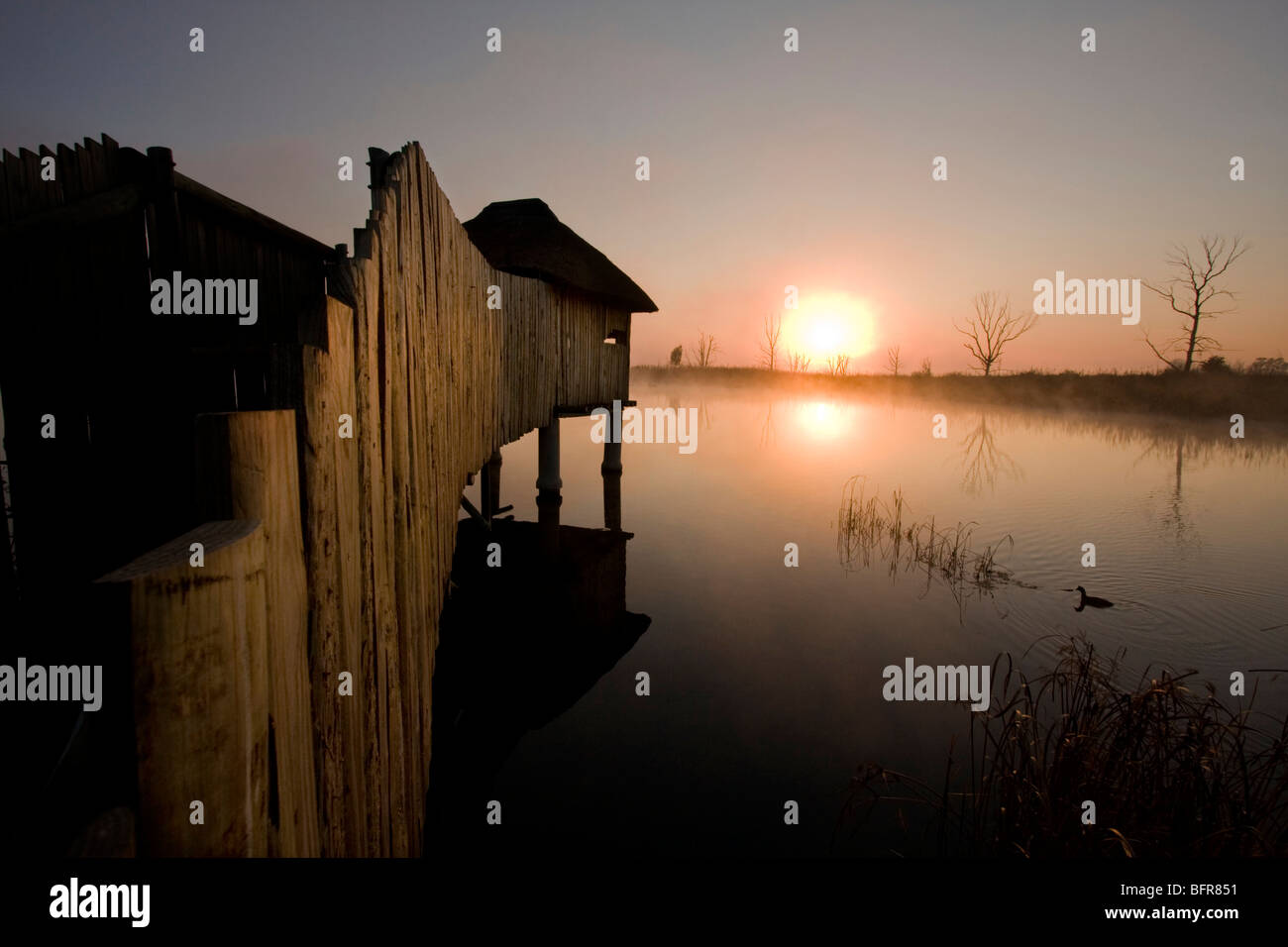 Sunrise over a dam showing wooden walkway leading to bird hide Stock Photo