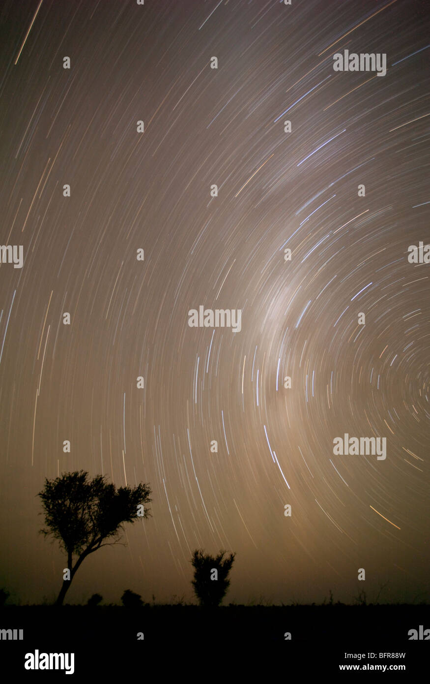 Star trails Stock Photo
