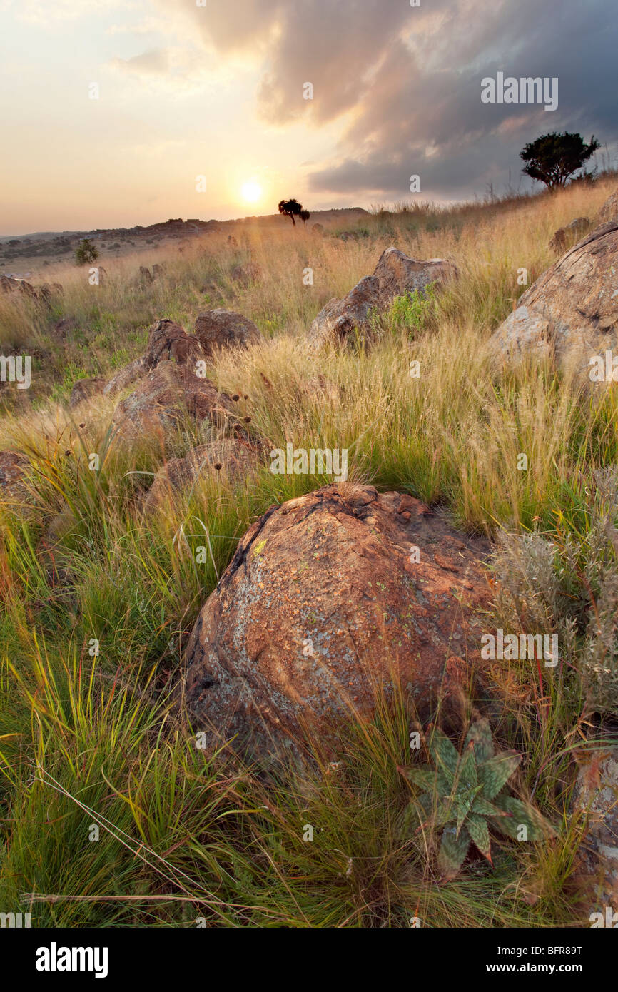 Rocky hillside hi-res stock photography and images - Alamy