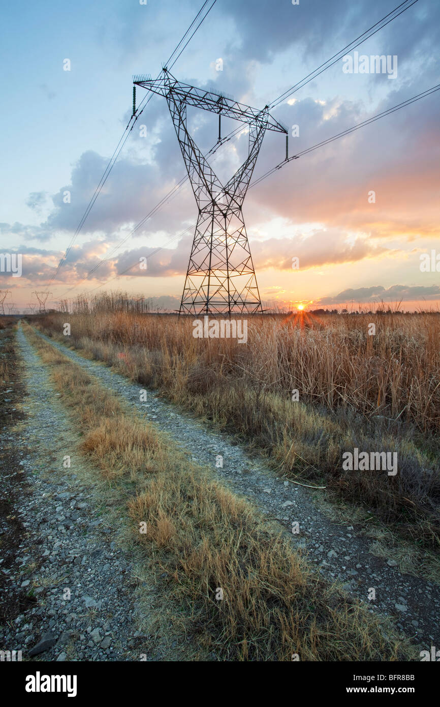 Landscape with electricity pylon and two tracks heading into the distance Stock Photo