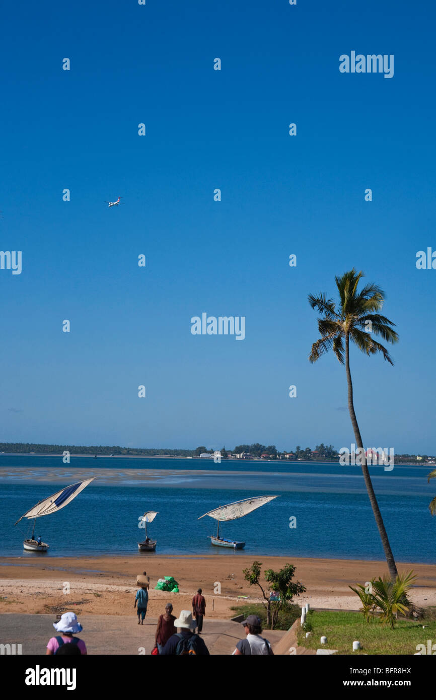 Palm tree on a beach at Maxixe with moored dhows and a plane flying overhead Stock Photo