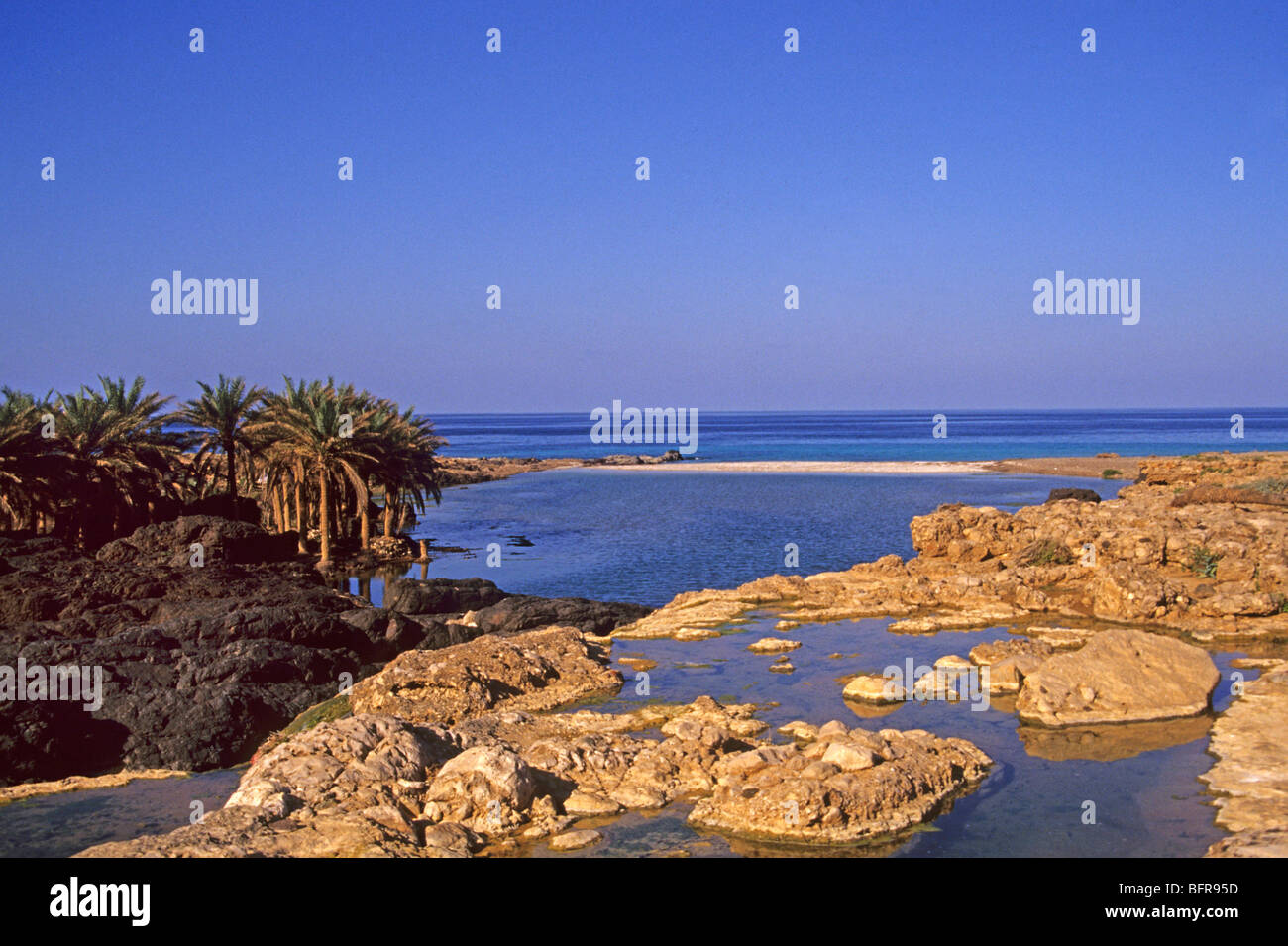 Coastal landscape on the island of Socotra Stock Photo