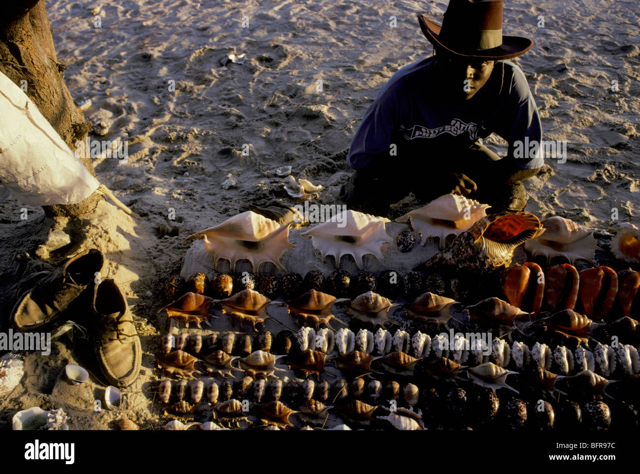 Curio seller selling sea shells on the beach Stock Photo Alamy